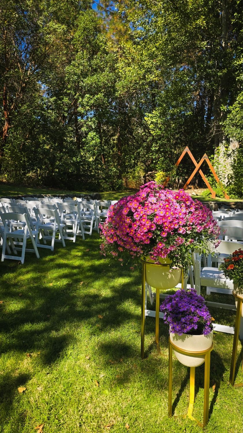 Wedding ceremony aisle lined with white chairs and mum arrangements